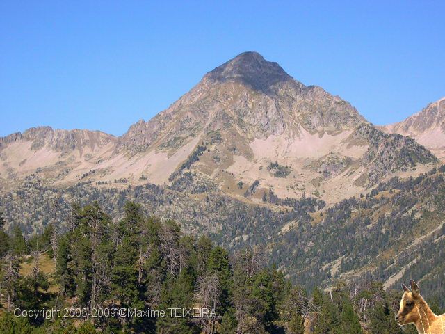 20030925_109.jpg -           