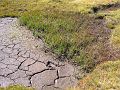 20030925_017
