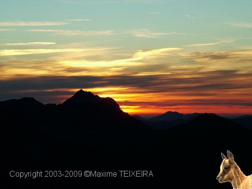 DSCF1098.JPG