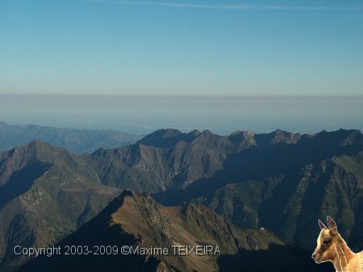 DSCF1142.JPG