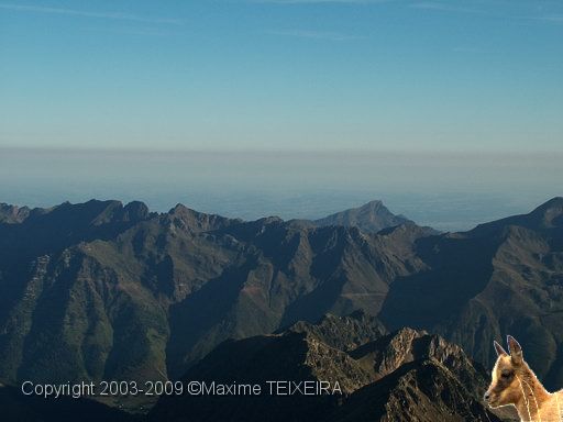 DSCF1143.JPG