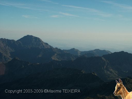DSCF1145.JPG