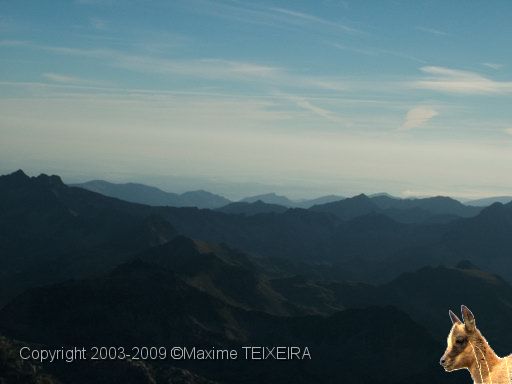 DSCF1147.JPG