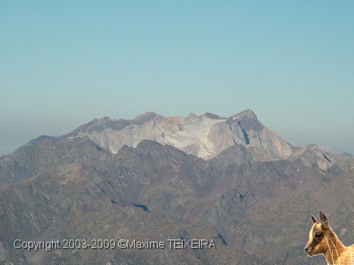 DSCF1153.JPG