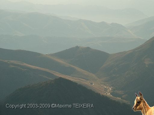 DSCF1176.JPG