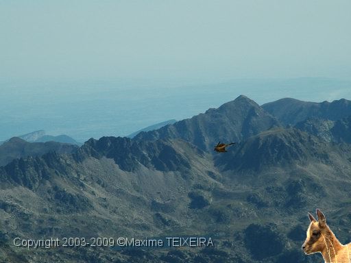 DSCF1207.JPG