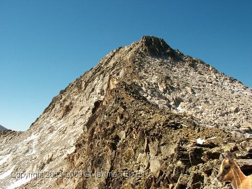 DSCF1210.JPG