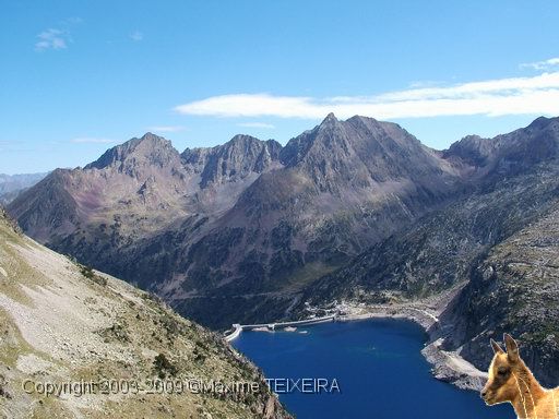 DSCF1221.JPG