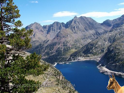 DSCF1226.JPG