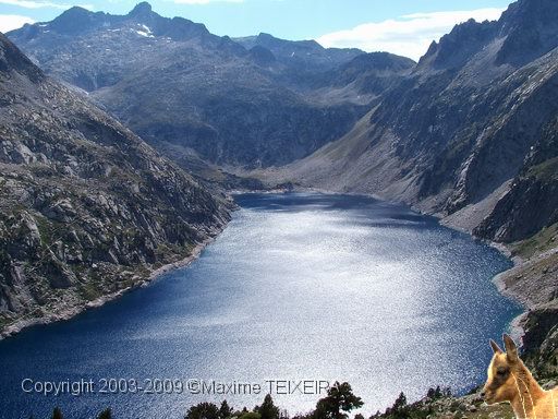 DSCF1229.JPG