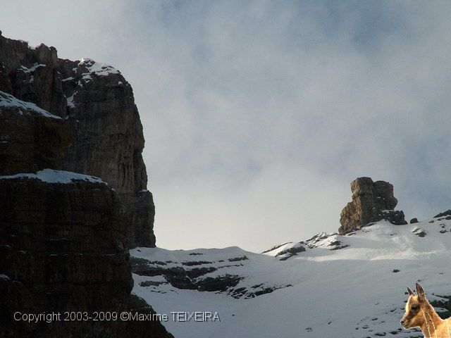 DSCF2373.JPG