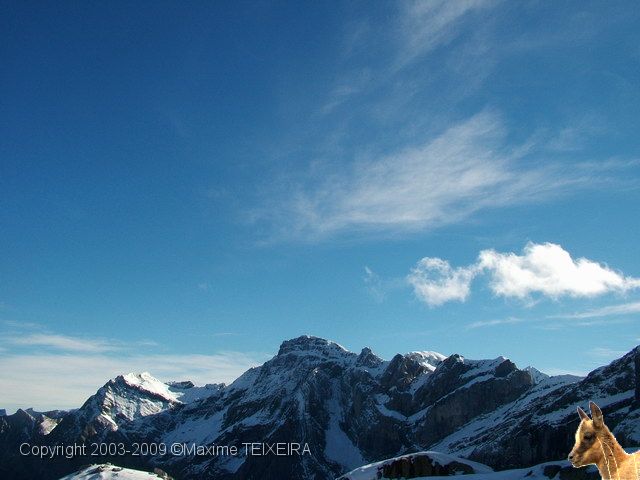 DSCF2414.JPG