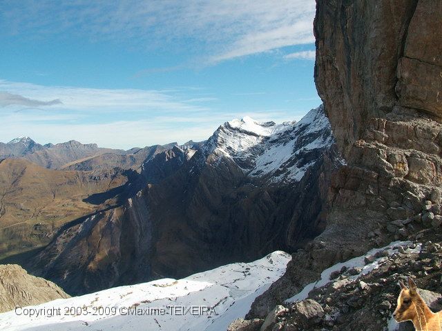 DSCF2429.JPG