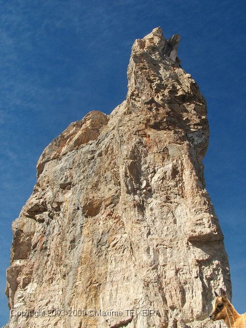 DSCF2433.JPG