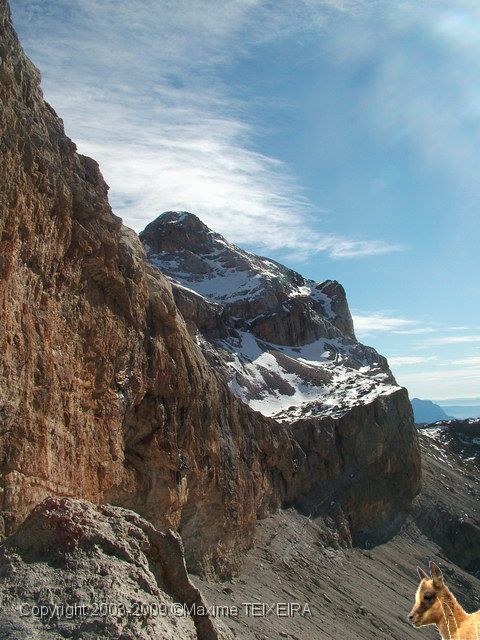 DSCF2438.JPG