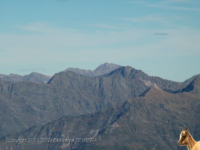 DSCF2441.JPG