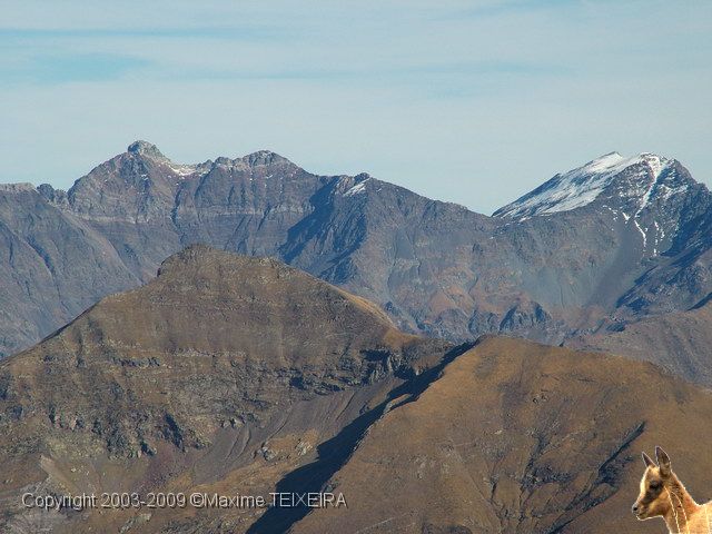 DSCF2443.JPG