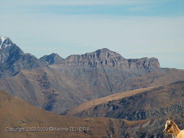 DSCF2444.JPG