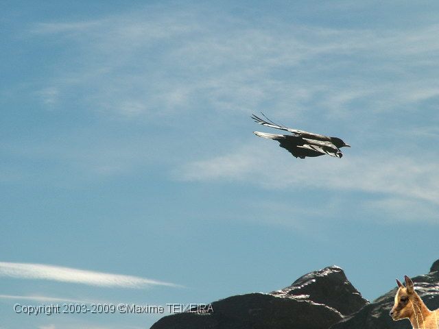 DSCF2448.JPG