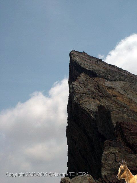 DSCF5649.JPG