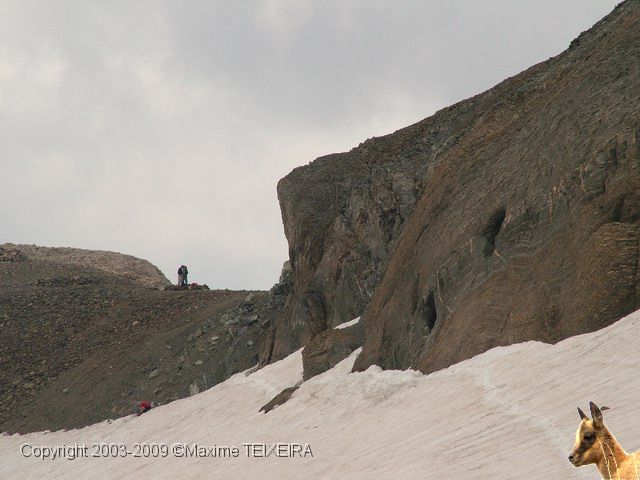 DSCF5695.JPG