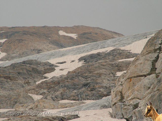 DSCF5726.JPG