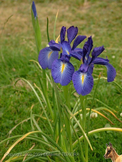 DSCF5764.JPG