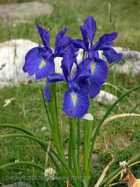 DSCF5769.JPG