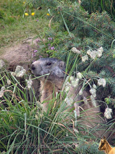 DSCF5778.JPG