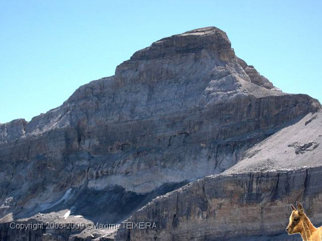 DSCN0098.JPG -           