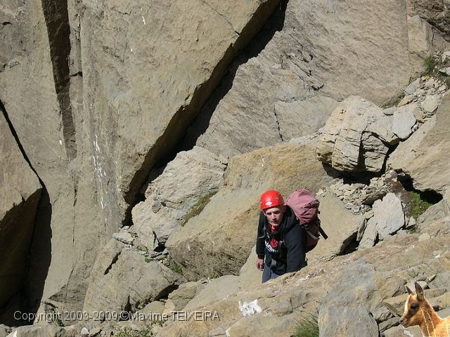 DSCN0137.JPG -           