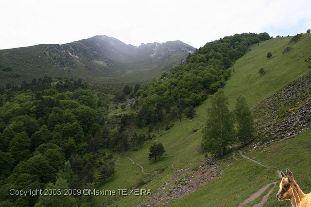 IMG_7193.JPG