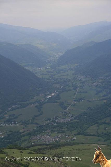 IMG_7205.JPG