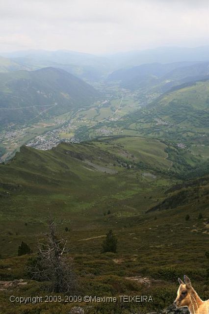 IMG_7218.JPG
