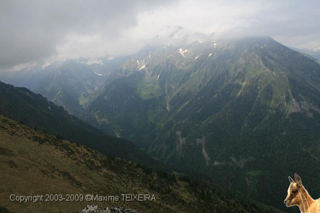 IMG_7237.JPG