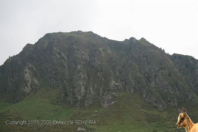 IMG_7274.JPG