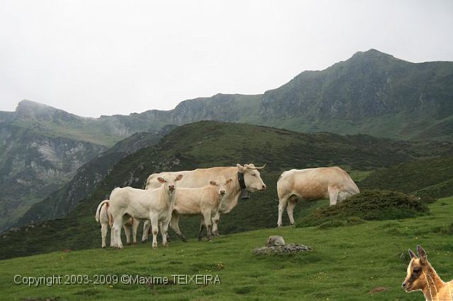 IMG_7289.JPG