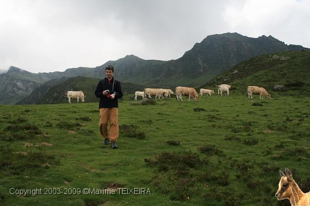 IMG_7291.JPG