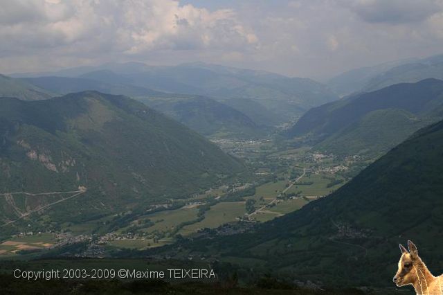 IMG_7293.JPG