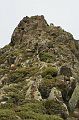 IMG_7257
