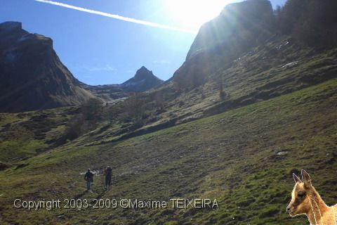 CIMG0236.JPG