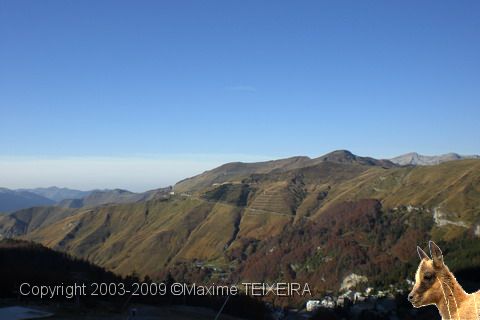 CIMG0331.JPG