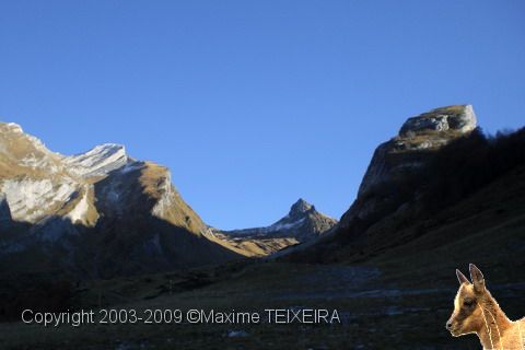 CIMG0337.JPG