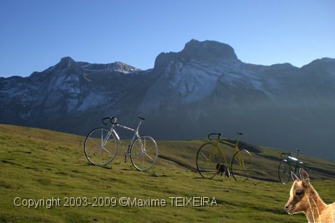 CIMG0348.JPG