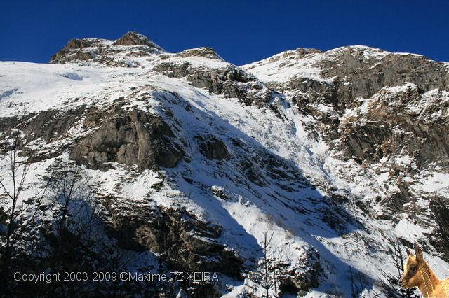 IMG_1375.JPG