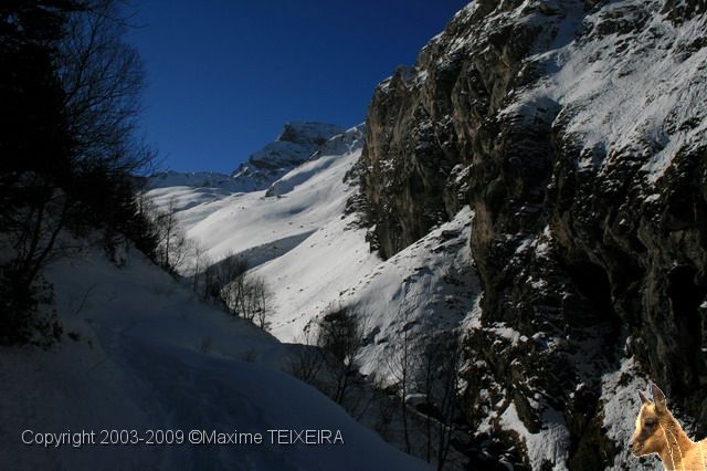 IMG_1376.JPG