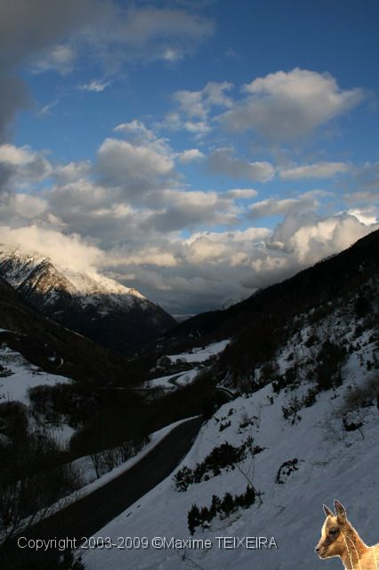 IMG_1434.JPG