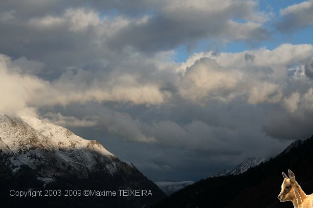 IMG_1436.JPG