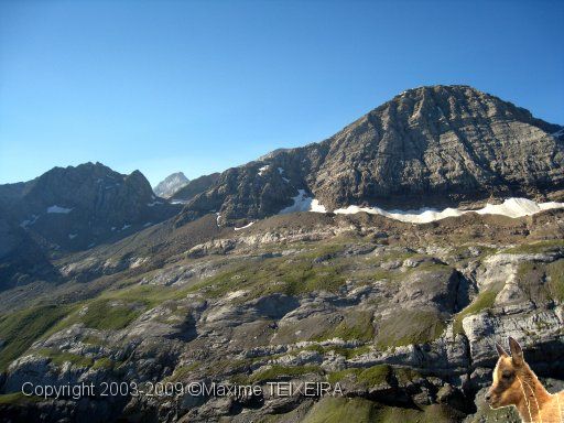 IMG_0673.JPG