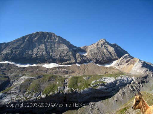 IMG_0677.JPG